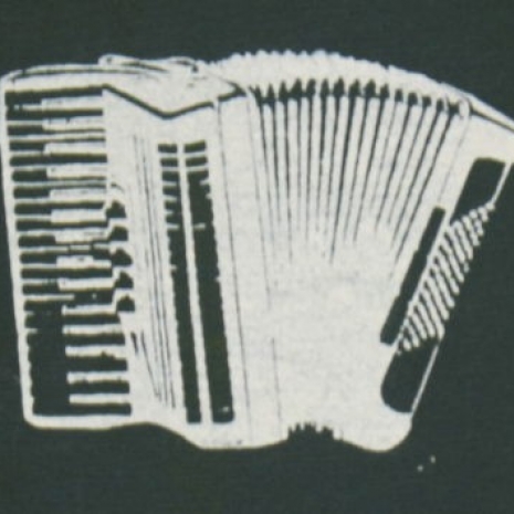 white accordion on green canvas patch